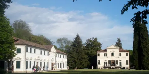 Villa Molena, Levi, Vivante, Errera