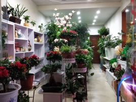 好心情花艺(三华路店)