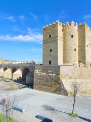 Tour de la Calahorra