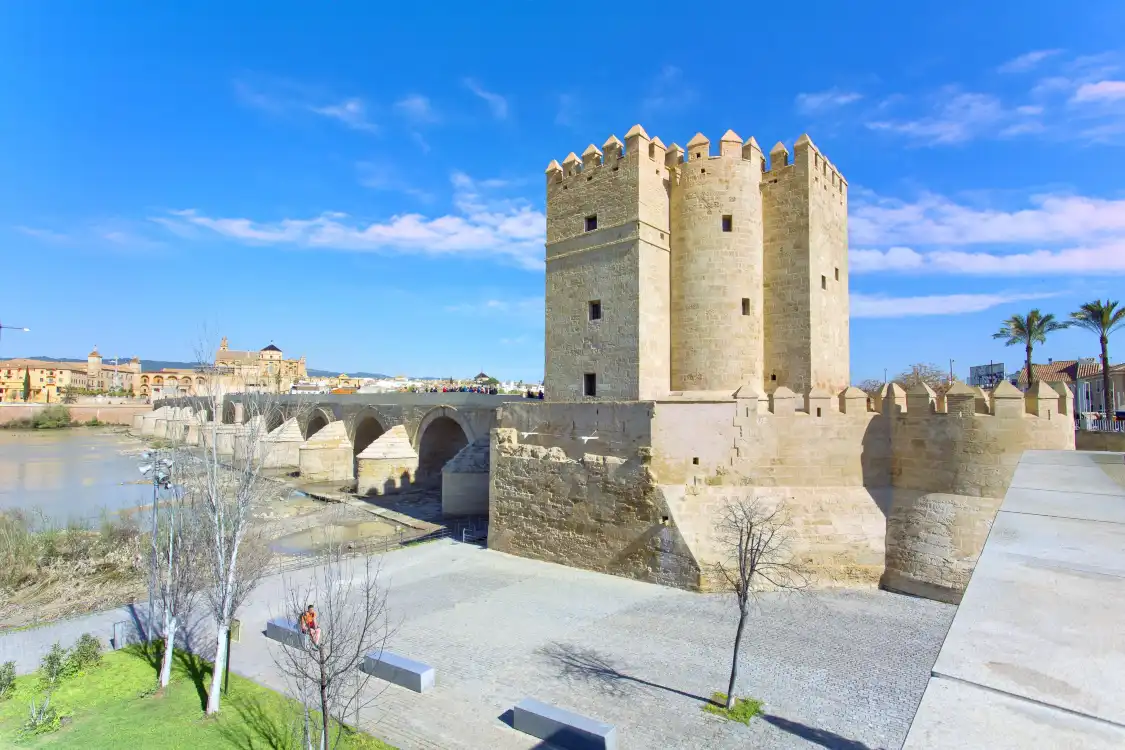 Hotels near Torre  Calahorra