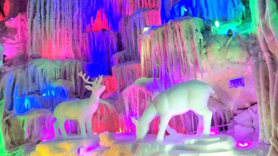 崇左龍宮仙境旅遊區+峒那嶼灣設施一日遊【拼小團/獨立包團可選】