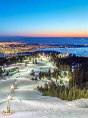 Grouse Mountain Peak