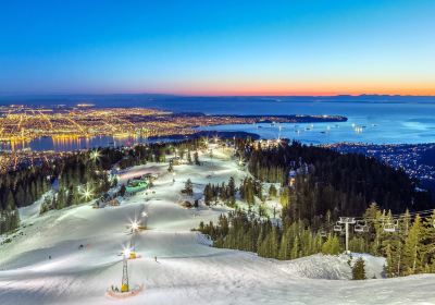 Grouse Mountain Peak