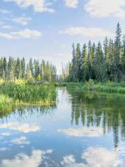 Parc national de Prince Albert