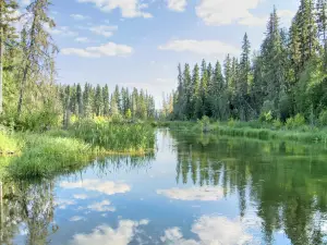 Prince Albert National Park