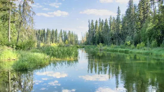 Prince Albert National Park