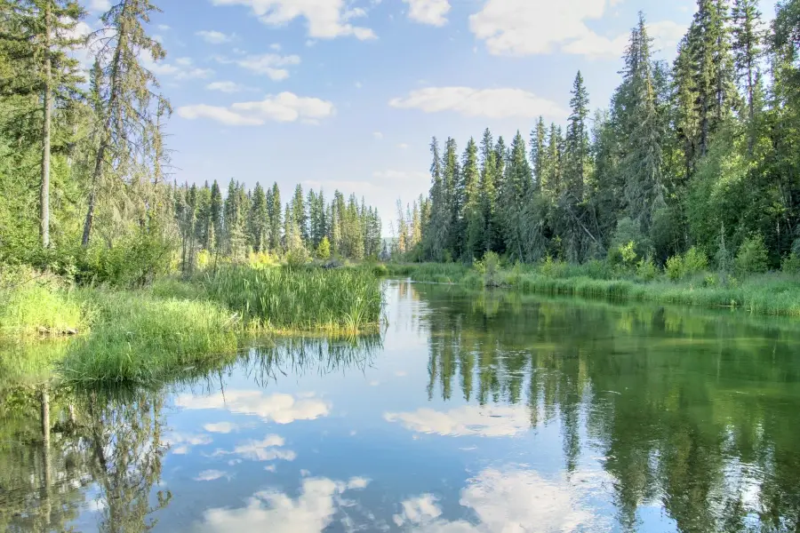 Prince Albert National Park