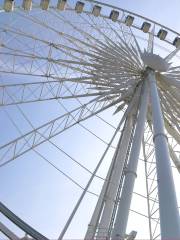 Niagara SkyWheel