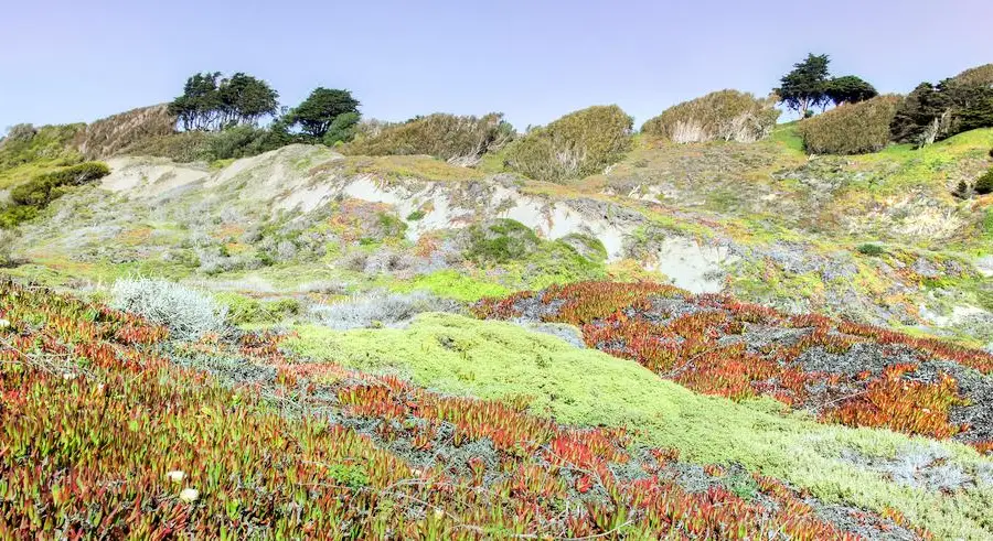 Fort Funston