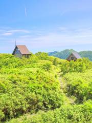 白神山地