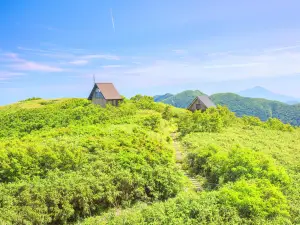 白神山地