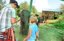 Prayai Changthai Elephant Camp