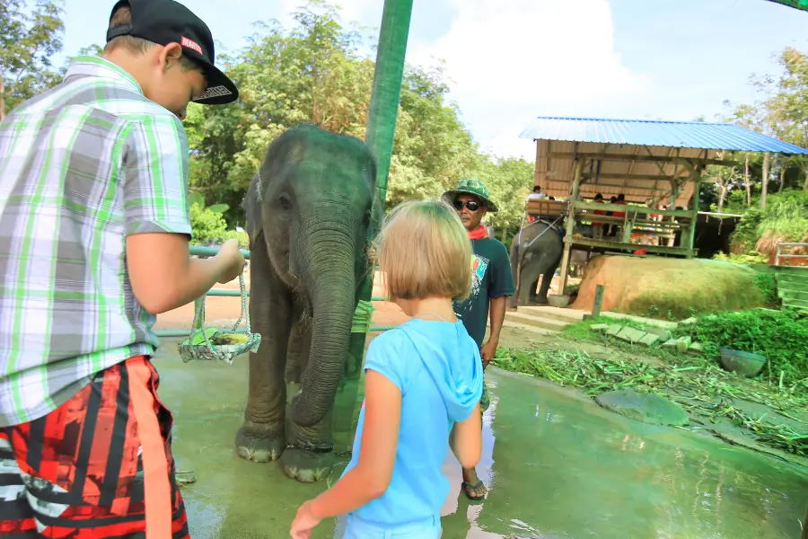 Prayai Changthai Elephant Camp