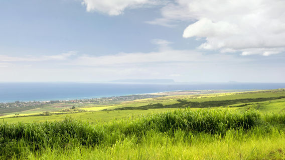 Đảo Kauai