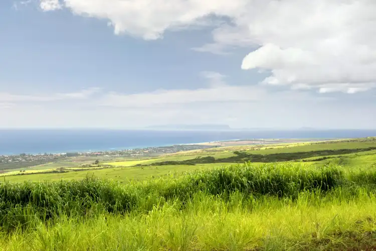 Hotels near Ni‘ihau