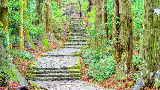 Kumano Kodo - Nakahechi Daimon-saka Pilgrim Route