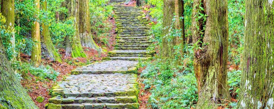 Kumano Kodo - Nakahechi Daimon-saka Pilgrim Route
