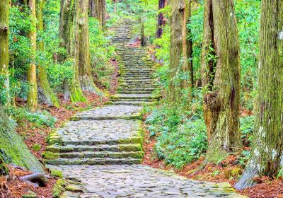 Kumano Kodo Daimonzaka