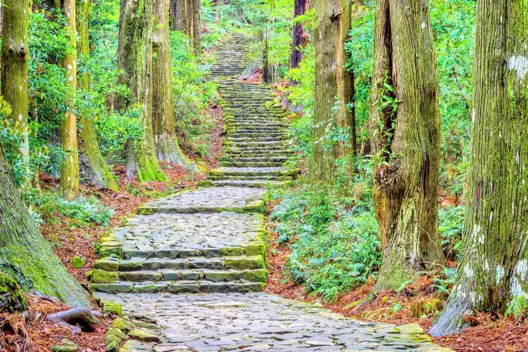 Hotels in der Nähe von Kumano Kodo Daimonzaka