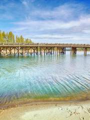 Fishing Bridge