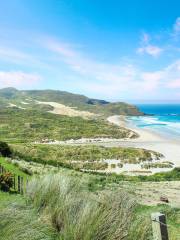 Otago Peninsula