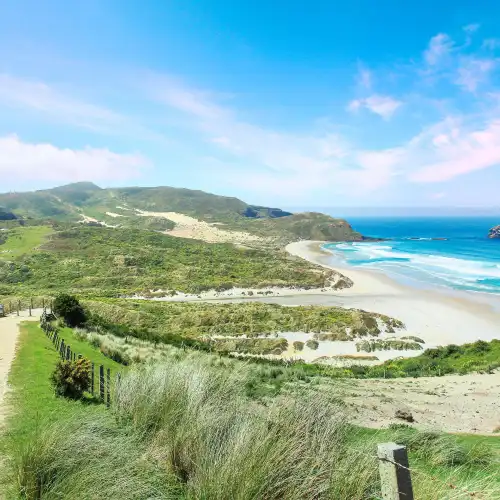 Popular Best Things to Do in Alexandra