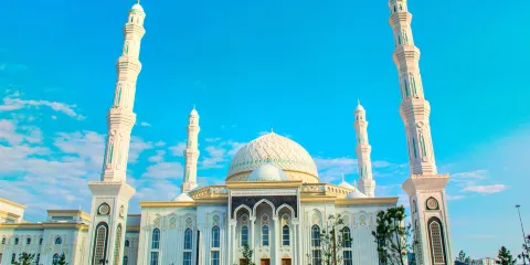 哈茲拉特蘇丹清真寺