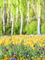 Australian National Botanic Gardens