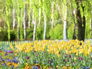 Australian National Botanic Gardens