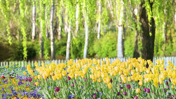 Jardins botaniques nationaux australiens