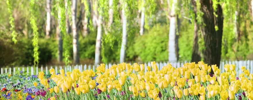 Australian National Botanic Gardens