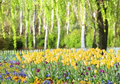 Australian National Botanic Gardens