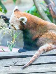 Parc zoologique national de Washington