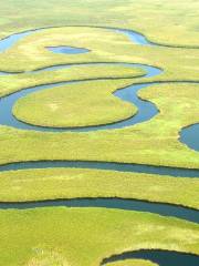 Okavango River