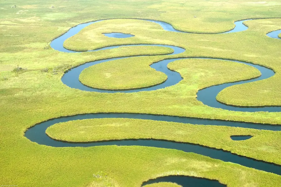 Okavango River