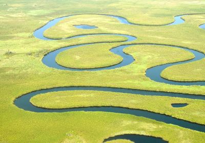 Okavango River