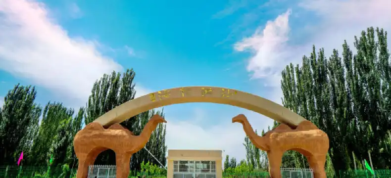 Hotels in Xinhe
