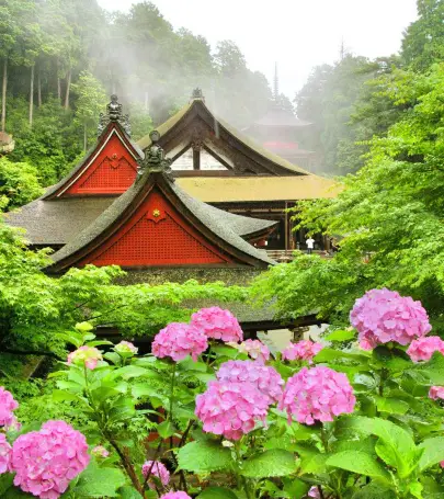 滋賀縣近江八幡市top10好去處 21近江八幡市旅遊攻略 Trip Com