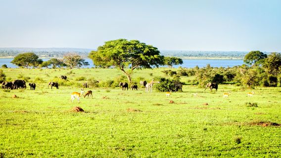 Uganda
