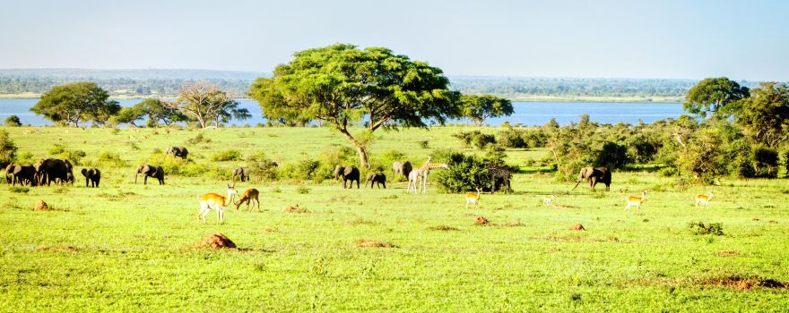 Murchison Falls National Park