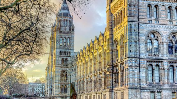 เส้นทางเหมารถพิพิธภัณฑ์บริติช + พระราชวังเวสต์มินสเตอร์ + พิพิธภัณฑ์ประวัติศาสตร์ธรรมชาติ