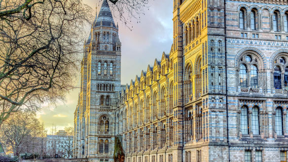 Natural History Museum