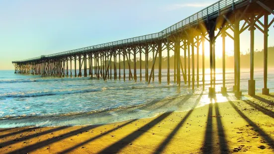 San Simeon State Park