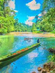 울루 템부롱 국립공원