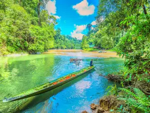 Parque nacional de Ulu Temburong