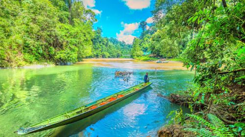 Ulu Temburong National Park