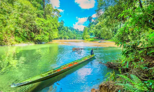 Nationalpark Ulu Temburong