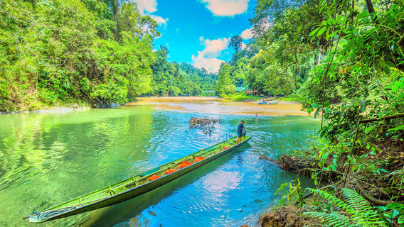 Ulu Temburong National Park