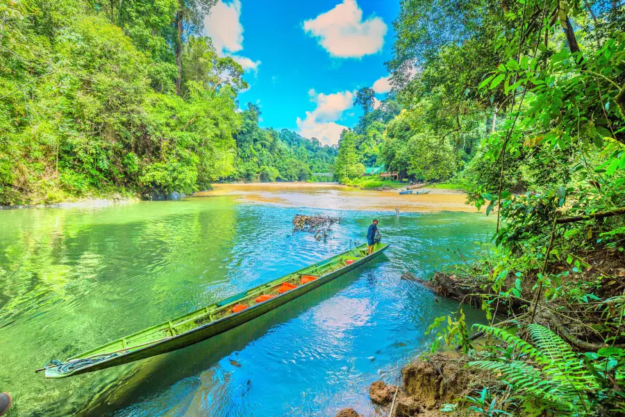 Ulu Temburong National Park