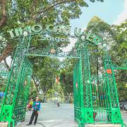 Природа / дикая природа